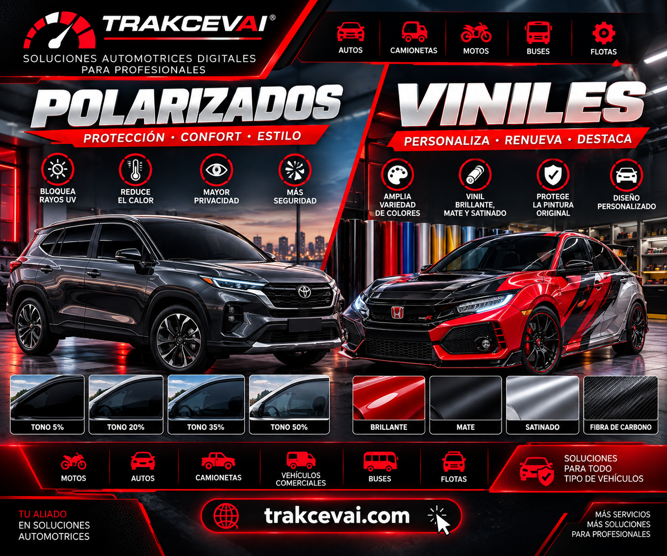 Polarizados